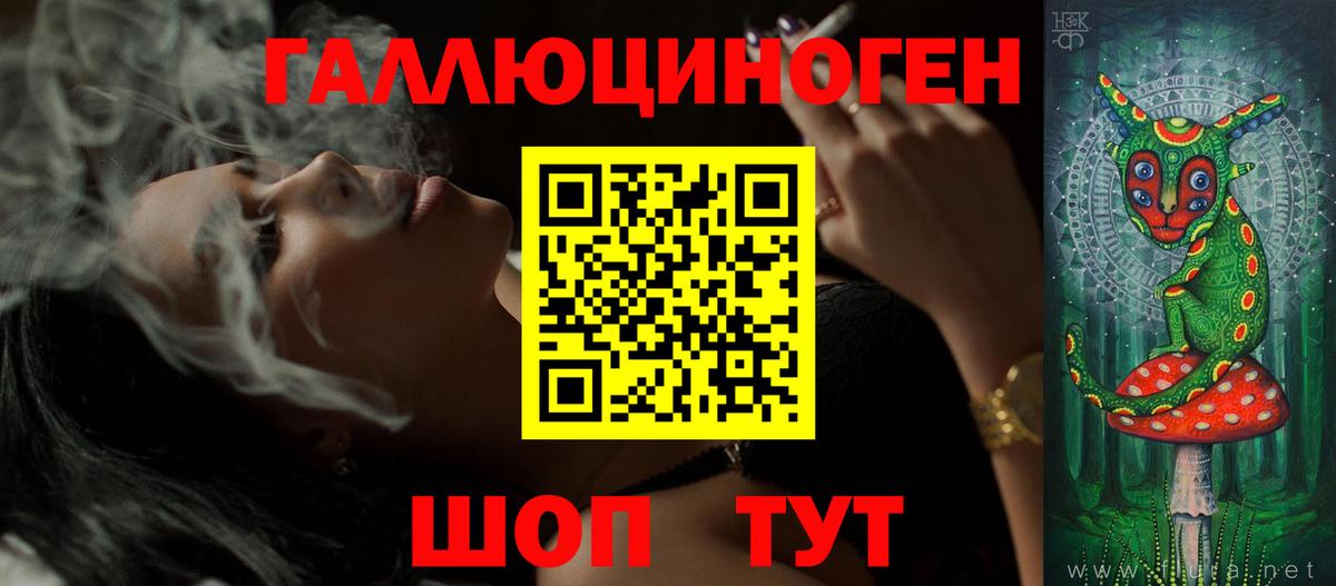 Галлюциногенные грибы Psilocybine cubensis  Вход с VPN  Реутов  Галлюциногенные грибы Cubensis 